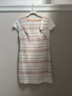 NWT Eliza J White Lace Overlay Dress with Nude Lining Sz 4